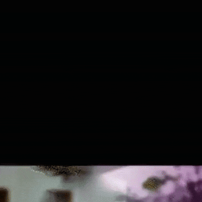 Ad